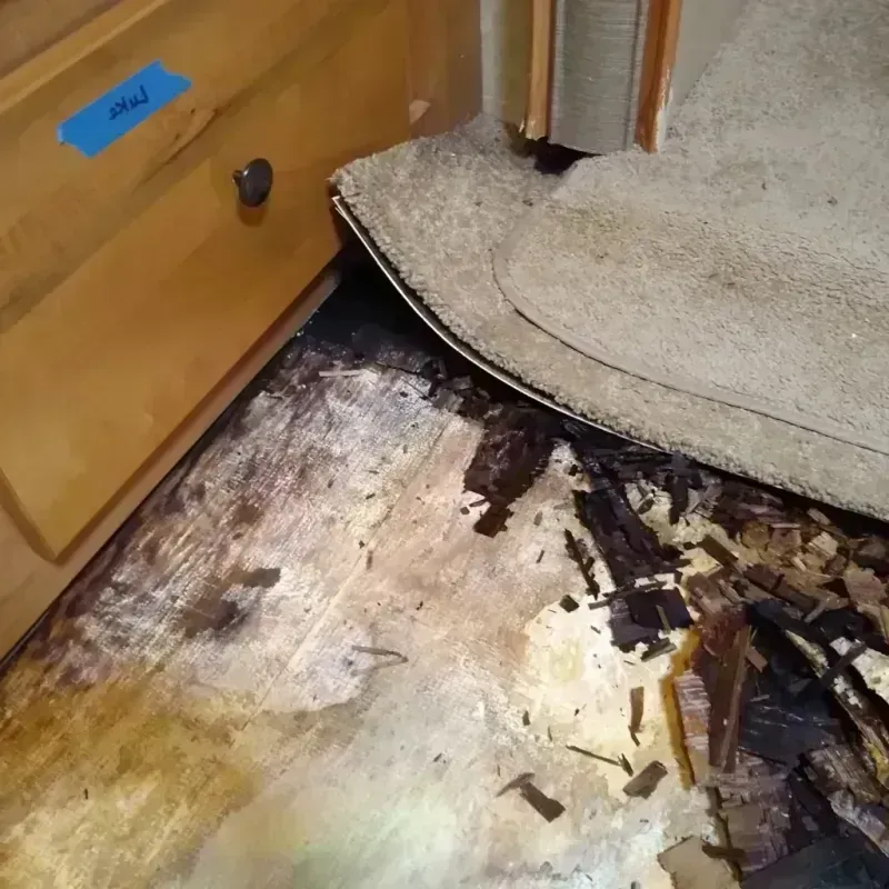 Wood Floor Water Damage in Jeff Davis County, GA